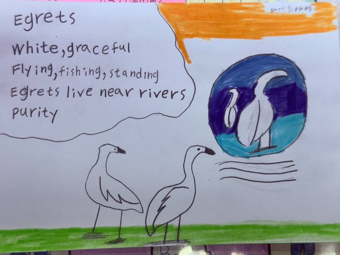 跨校英語文化交流 - 鷺江國小(英閱繪白鷺鷥單元課程分享)圖片